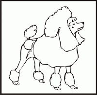 Poodle design