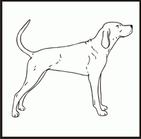 Redbone Coonhound design