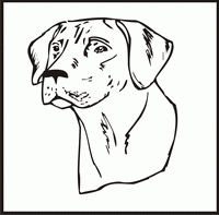 Rhodesian Ridgeback design