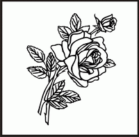 Rose 2 Design