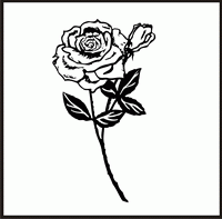 Rose 4 Design