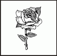 Rose 6 Design