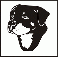 Rottweiller, Head design