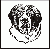 Saint Bernard, Head design