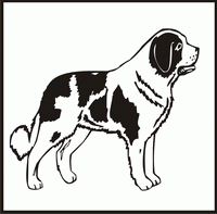 Saint Bernard design