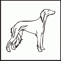 Saluki design