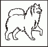 Samoyed design