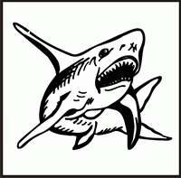 Shark Design