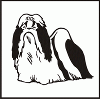 Shih Tzu design