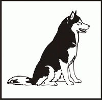 Siberian Husky design