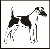 Smooth Fox Terrier design