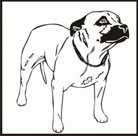 Staffordshire Terrier design