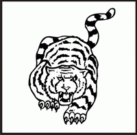 Tiger Design