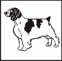 Welsh Springer Spaniel design