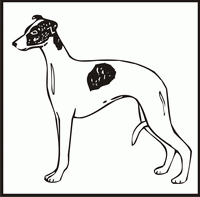 Whippet design