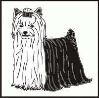 Yorkshire Terrier design