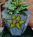 Daffodil Planter