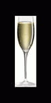 Lead Free Crystal Luxury Cuvee Champagne, set of 4