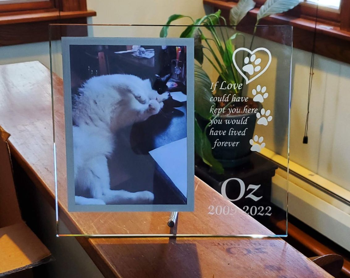 5 X 7 Cat Memorial Picture Frame Fantasy Glassworks Rockford, IL